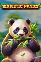 Majestic Panda