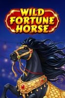 Wild Fortune Horse